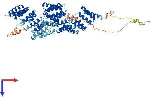 AlphaFold protein structure predicition of Mouse Recombinant Cdc16 Protein, UniprotID Q8R349