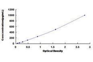 Gastrokine 2 (GKN2) ELISA Kit