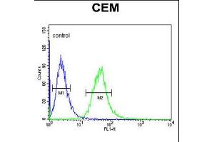 Flow cytometric analysis of CEM cells (right histogram) compared to a negative control cell (left histogram). (AMY1A anticorps  (AA 195-223))