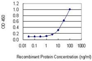 Detection limit for recombinant GST tagged PDLIM1 is 1 ng/ml as a capture antibody. (PDLIM1 anticorps  (AA 123-232))