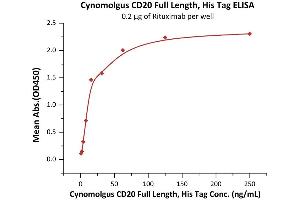 Measured by its binding ability in a functional ELISA.