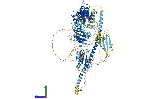 AlphaFold protein structure predicition of Mouse Recombinant Txndc11 Protein, UniprotID Q8K2W3