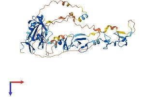 AlphaFold protein structure predicition of Mouse Recombinant Pdlim7 Protein, UniprotID Q3TJD7