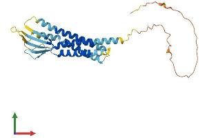 AlphaFold protein structure predicition of Human Recombinant CACNG5 Protein, UniprotID Q9UF02