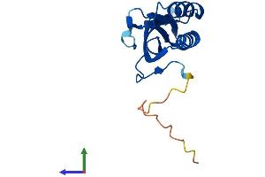 AlphaFold protein structure predicition of Human Recombinant RPP25L Protein, UniprotID Q8N5L8