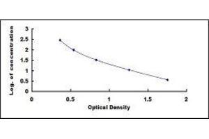Nitrotyrosine ELISA Kit