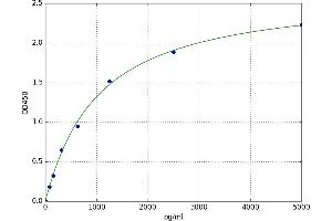 Aminoacyl tRNA Synthetase Complex-Interacting Multifunctional Protein 1 (AIMP1) ELISA Kit