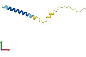 AlphaFold protein structure predicition of Mouse Recombinant Hilpda Protein, UniprotID Q9JLS0