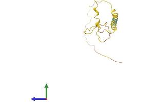 AlphaFold protein structure predicition of Human Recombinant LMO7DN Protein, UniprotID F2Z398
