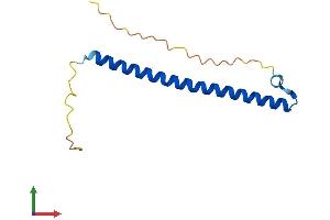 AlphaFold protein structure predicition of Mouse Recombinant Crebl2 Protein, UniprotID Q32M00
