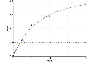 A typical standard curve