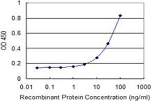 Detection limit for recombinant GST tagged MUSK is 1 ng/ml as a capture antibody. (MUSK anticorps  (AA 301-400))