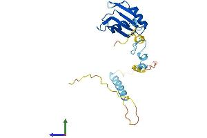 AlphaFold protein structure predicition of Human Recombinant ZCRB1 Protein, UniprotID Q8TBF4