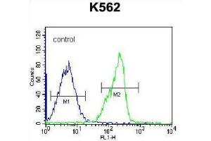Flow Cytometry (FACS) image for anti-Zinc Finger Protein 146 (ZNF146) antibody (ABIN2996706) (ZNF146 anticorps)