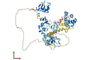 AlphaFold protein structure predicition of Mouse Recombinant Birc3 Protein, UniprotID O08863