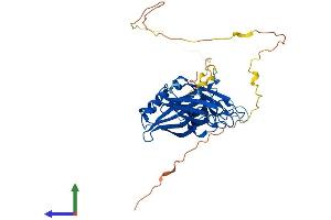 AlphaFold protein structure predicition of Mouse Recombinant Doc2b Protein, UniprotID P70169