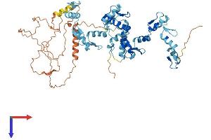 AlphaFold protein structure predicition of Human Recombinant ZNF37A Protein, UniprotID P17032