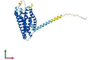 AlphaFold protein structure predicition of Human Recombinant FFAR2 Protein, UniprotID O15552