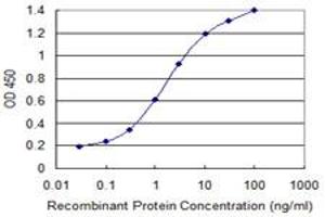 Detection limit for recombinant GST tagged GSTM2 is 0. (GSTM2 anticorps  (AA 90-189))