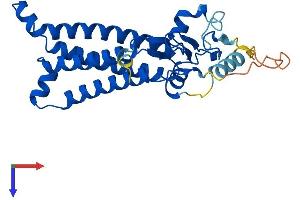 AlphaFold protein structure predicition of Human Recombinant ZDHHC12 Protein, UniprotID Q96GR4
