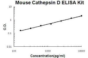 Mouse Cathepsin D PicoKine ELISA Kit standard curve