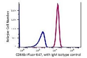 Granulocytes gated RBC lysed blood stained with iFluor647 conjugated anti-human CD66b (clone GIOF5) (red histogram)_ Granulocytes gated RBC lysed blood stained with similar conjugated mouse lgM isotype control (Blue histogram)_ The data are generated by BD Accuri C6 Flow Cytometer and analyzed by FlowJo software.