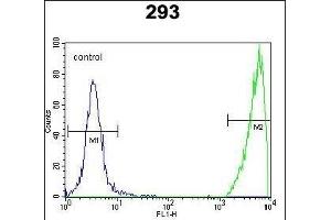 GNAS Antibody (C-term) flow cytometric analysis of 293 cells (right histogram) compared to a negative control cell (left histogram).