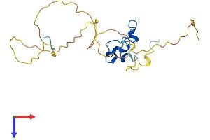 AlphaFold protein structure predicition of Mouse Recombinant Cxxc4 Protein, UniprotID Q6NXI8