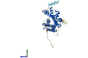 AlphaFold protein structure predicition of Mouse Recombinant Steap1 Protein, UniprotID Q9CWR7