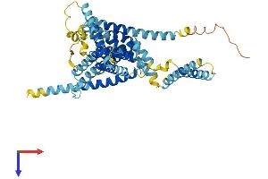 AlphaFold protein structure predicition of Mouse Recombinant Lmbr1 Protein, UniprotID Q9JIT0