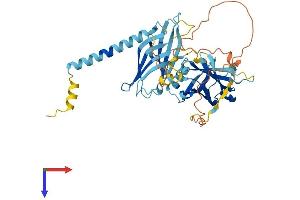 AlphaFold protein structure predicition of Human Recombinant SYT12 Protein, UniprotID Q8IV01