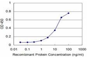 Detection limit for recombinant GST tagged MAPK3 is approximately 1ng/ml as a capture antibody. (ERK1 anticorps  (AA 279-379))