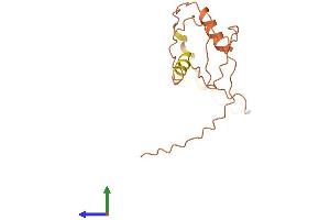 AlphaFold protein structure predicition of Human Recombinant SMCR5 Protein, UniprotID Q8TEV8