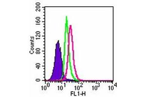 Intracellular flow analysis of TLR3 in Ramos cells. (TLR3 anticorps  (AA 55-85))
