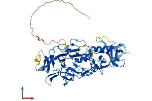 AlphaFold protein structure predicition of Mouse Recombinant Peli3 Protein, UniprotID Q8BXR6
