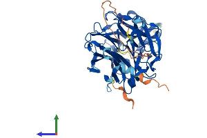 AlphaFold protein structure predicition of Mouse Recombinant Neu3 Protein, UniprotID Q9JMH7