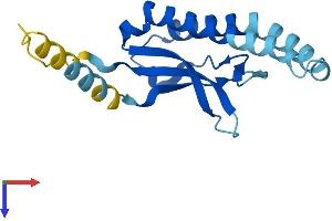 AlphaFold protein structure predicition of Mouse Recombinant Chic2 Protein, UniprotID Q9D9G3