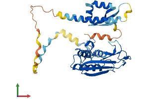 AlphaFold protein structure predicition of Human Recombinant DTX3 Protein, UniprotID Q8N9I9