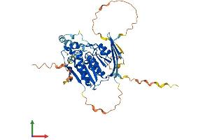 AlphaFold protein structure predicition of Human Recombinant ABHD8 Protein, UniprotID Q96I13