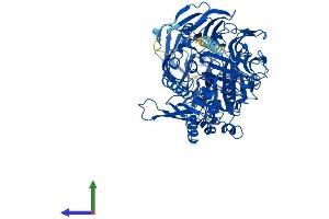 AlphaFold protein structure predicition of Mouse Recombinant Dpp4 Protein, UniprotID P28843