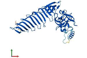 AlphaFold protein structure predicition of Human Recombinant SETD7 Protein, UniprotID Q8WTS6