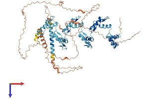 AlphaFold protein structure predicition of Human Recombinant ZNF180 Protein, UniprotID Q9UJW8