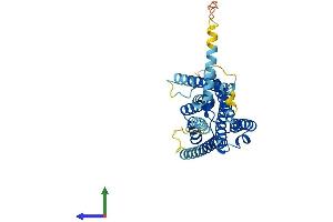 AlphaFold protein structure predicition of Mouse Recombinant Gpr21 Protein, UniprotID Q8BX79