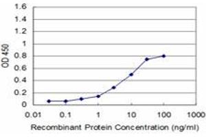 Detection limit for recombinant GST tagged RAX is approximately 1ng/ml as a capture antibody. (RAX anticorps  (AA 104-206))