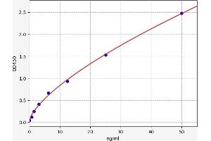 Typical standard curve (IDO1 Kit ELISA)