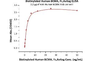 Immobilized A BCMA Mab at 2 μg/mL (100 μL/well) can bind Biotinylated Human BCMA, Fc,Avitag (ABIN3137676,ABIN4369373) with a linear range of 0.