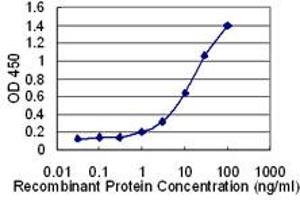 Detection limit for recombinant GST tagged SLC36A2 is 0.