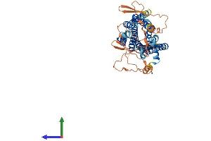 AlphaFold protein structure predicition of Human Recombinant ADRA1A Protein, UniprotID P35348