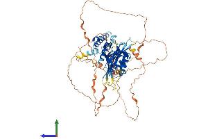 AlphaFold protein structure predicition of Mouse Recombinant Sim2 Protein, UniprotID Q61079
