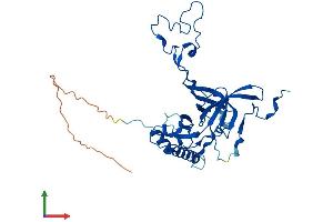 AlphaFold protein structure predicition of Human Recombinant MRPL3 Protein, UniprotID P09001